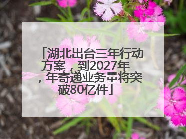 湖北出台三年行动方案，到2027年，年寄递业务量将突破80亿件