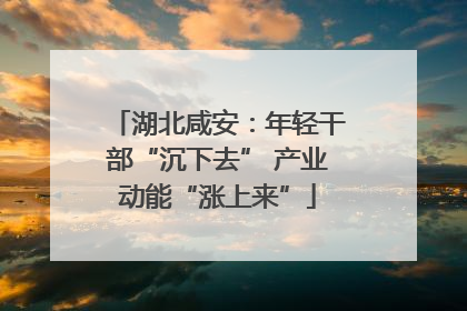 湖北咸安：年轻干部“沉下去” 产业动能“涨上来”