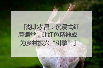 湖北孝昌：沉浸式红廉课堂，让红色精神成为乡村振兴“引擎”