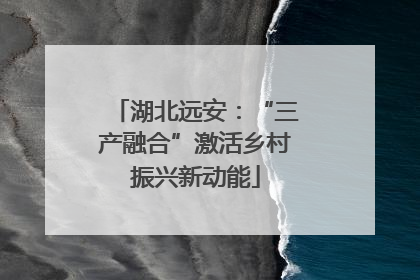 湖北远安：“三产融合”激活乡村振兴新动能