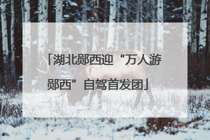 湖北郧西迎“万人游郧西”自驾首发团