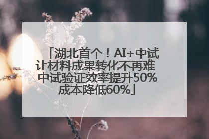 湖北首个！AI+中试让材料成果转化不再难 中试验证效率提升50%成本降低60%