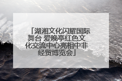 湖湘文化闪耀国际舞台 爱晚亭红色文化交流中心亮相中非经贸博览会