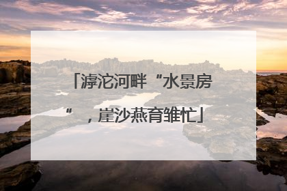 滹沱河畔“水景房”，崖沙燕育雏忙