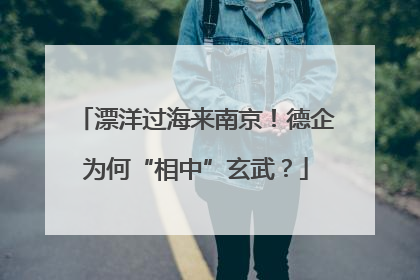 漂洋过海来南京！德企为何“相中”玄武？