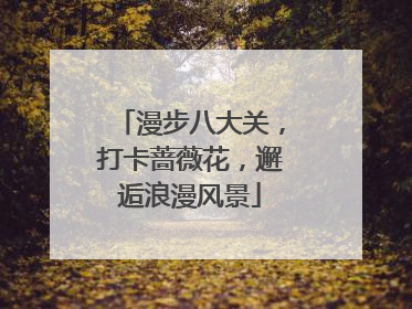漫步八大关，打卡蔷薇花，邂逅浪漫风景