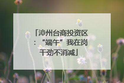 漳州台商投资区：“端午”我在岗 干劲不消减