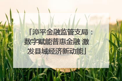 漳平金融监管支局：数字赋能普惠金融 激发县域经济新动能
