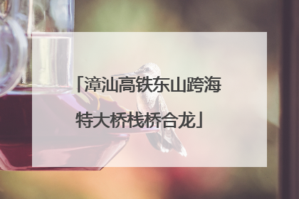 漳汕高铁东山跨海特大桥栈桥合龙