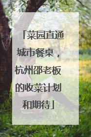 菜园直通城市餐桌，杭州邵老板的收菜计划和期待