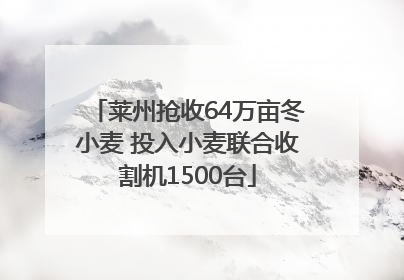 莱州抢收64万亩冬小麦 投入小麦联合收割机1500台