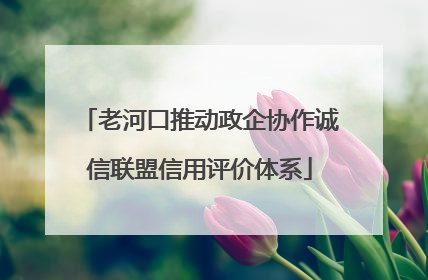 老河口推动政企协作诚信联盟信用评价体系