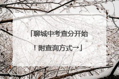 聊城中考查分开始！附查询方式→