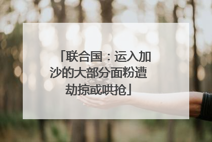 联合国：运入加沙的大部分面粉遭劫掠或哄抢
