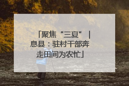 聚焦“三夏”｜息县：驻村干部奔走田间为农忙