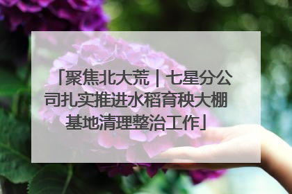 聚焦北大荒｜七星分公司扎实推进水稻育秧大棚基地清理整治工作