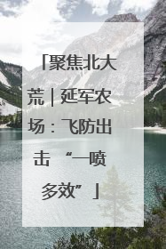 聚焦北大荒｜延军农场：飞防出击 “一喷多效”