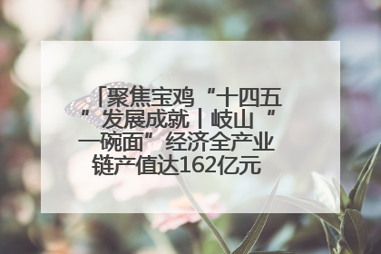 聚焦宝鸡“十四五”发展成就丨岐山“一碗面”经济全产业链产值达162亿元 入选全国典型县
