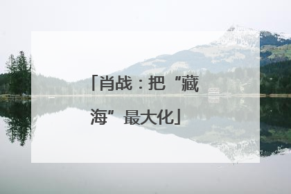 肖战：把“藏海”最大化