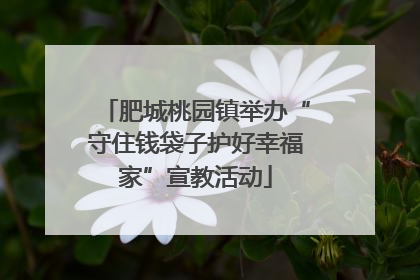 肥城桃园镇举办“守住钱袋子护好幸福家”宣教活动