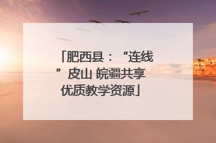 肥西县：“连线”皮山 皖疆共享优质教学资源