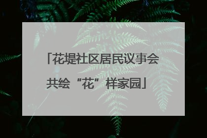花堤社区居民议事会共绘“花”样家园