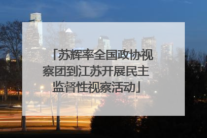 苏辉率全国政协视察团到江苏开展民主监督性视察活动