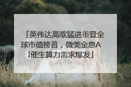 英伟达高歌猛进重登全球市值榜首，微美全息AI催生算力需求爆发