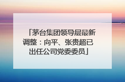 茅台集团领导层最新调整：向平、张贵超已出任公司党委委员