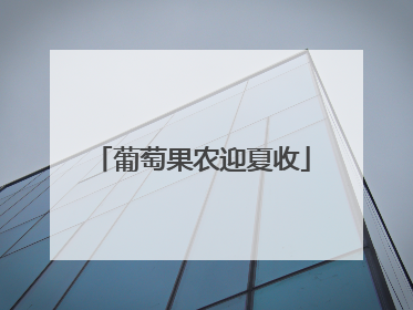 葡萄果农迎夏收