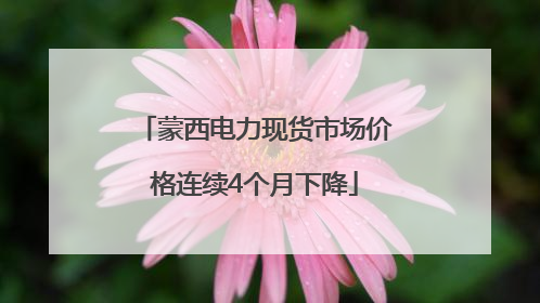 蒙西电力现货市场价格连续4个月下降