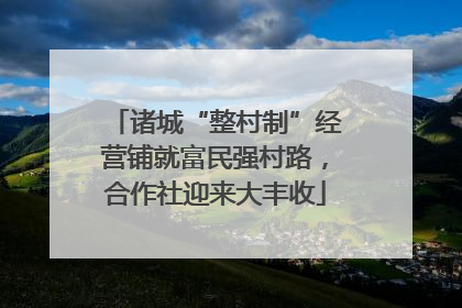 诸城“整村制”经营铺就富民强村路，合作社迎来大丰收