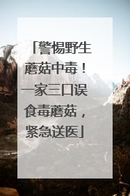 警惕野生蘑菇中毒！一家三口误食毒蘑菇，紧急送医