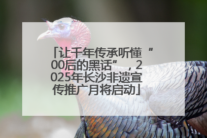 让千年传承听懂“00后的黑话”，2025年长沙非遗宣传推广月将启动