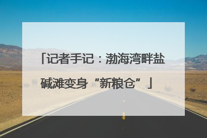 记者手记：渤海湾畔盐碱滩变身“新粮仓”