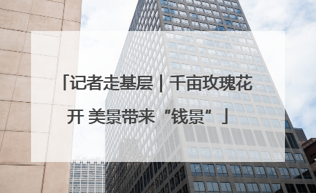 记者走基层｜千亩玫瑰花开 美景带来“钱景”