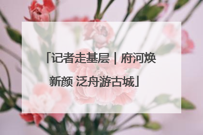 记者走基层｜府河焕新颜 泛舟游古城