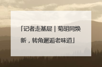 记者走基层｜菊胡同焕新，转角邂逅老味道