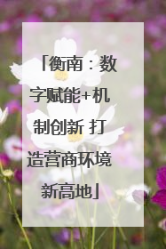 衡南：数字赋能+机制创新 打造营商环境新高地