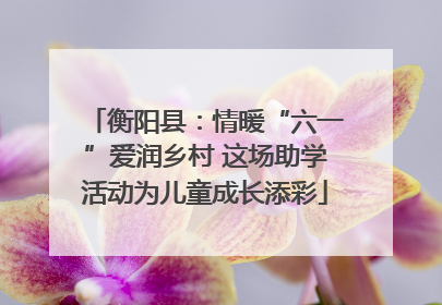 衡阳县：情暖“六一”爱润乡村 这场助学活动为儿童成长添彩