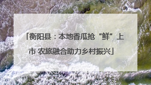 衡阳县：本地香瓜抢“鲜”上市 农旅融合助力乡村振兴