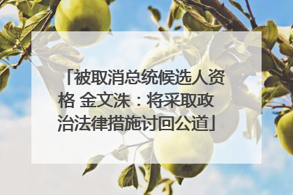 被取消总统候选人资格 金文洙：将采取政治法律措施讨回公道