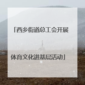 西乡街道总工会开展体育文化进基层活动