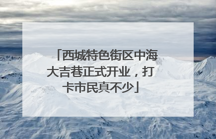 西城特色街区中海大吉巷正式开业，打卡市民真不少