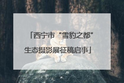 西宁市“雪豹之都”生态摄影展征稿启事