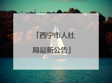 西宁市人社局最新公告