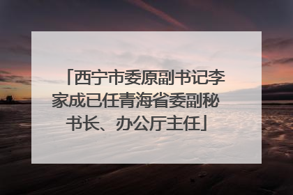 西宁市委原副书记李家成已任青海省委副秘书长、办公厅主任