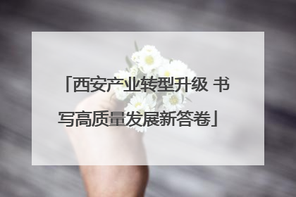 西安产业转型升级 书写高质量发展新答卷