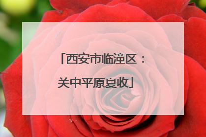 西安市临潼区：关中平原夏收