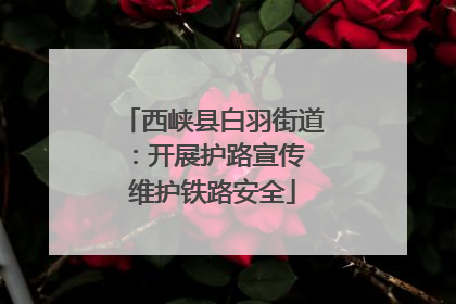 西峡县白羽街道：开展护路宣传 维护铁路安全